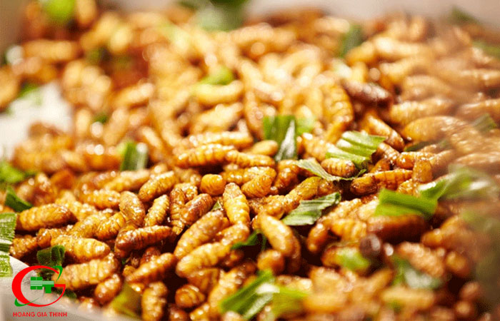 Cam-nang-du-lich-binh-phuoc-tu-a-den-z-59