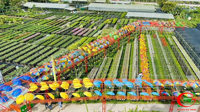 Kham-pha-ve-dep-cua-lang-hoa-sa-dec-dong-thap-lang-hoa-lon-nhat-mien-tay-19