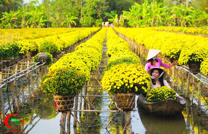 Kham-pha-ve-dep-cua-lang-hoa-sa-dec-dong-thap-lang-hoa-lon-nhat-mien-tay-22