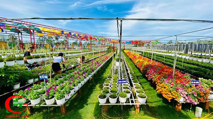 Kham-pha-ve-dep-cua-lang-hoa-sa-dec-dong-thap-lang-hoa-lon-nhat-mien-tay-8