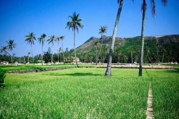 Khám phá vẻ đẹp Đảo ngọc Lý Sơn – “Tinh hoa di sản Việt Nam”