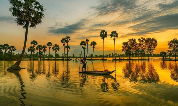 Cánh đồng thốt nốt