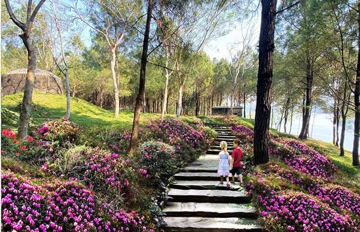 doi-vong-canh-dl