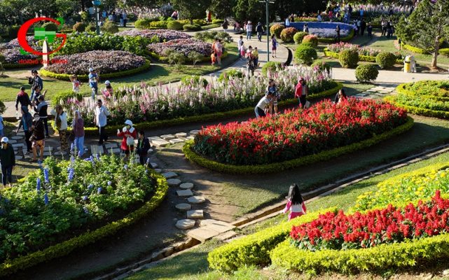 Du lịch Đà Lạt tháng 12 Festival hoa Đà Lạt