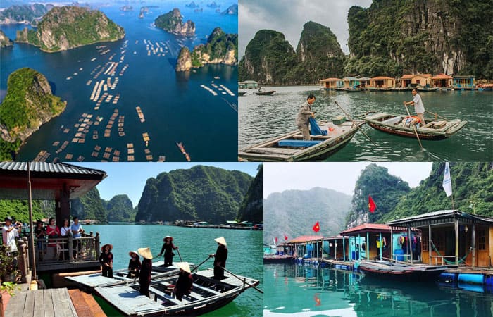 lang-chai-cua-vang-halongbay