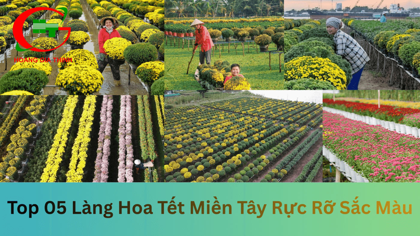 Tìm hiểu về các làng hoa đẹp ở miền tây
