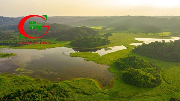 Du lịch rừng Nam Cát Tiên