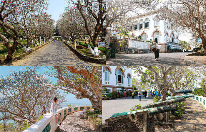 thoi-diem-di-bach-dinh