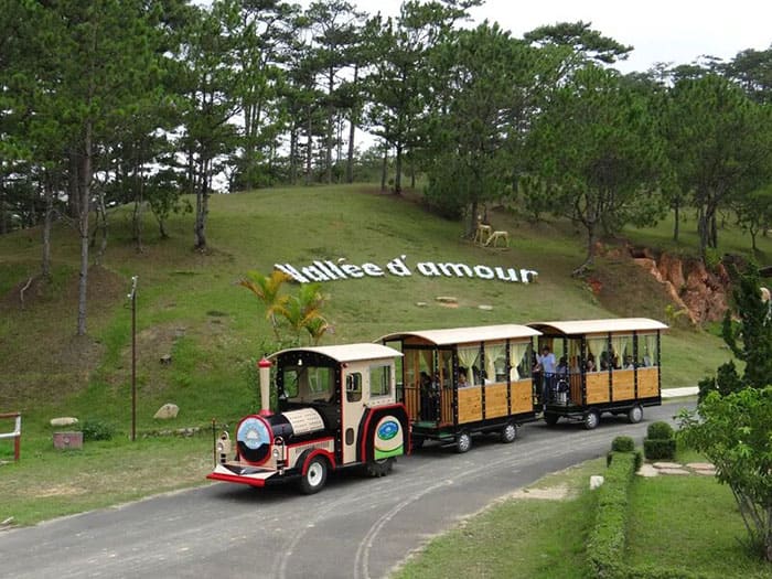 thung-lung-tinh-yeu-da-lat-diem-den-lang-man-cho-mua-tet-2024-6